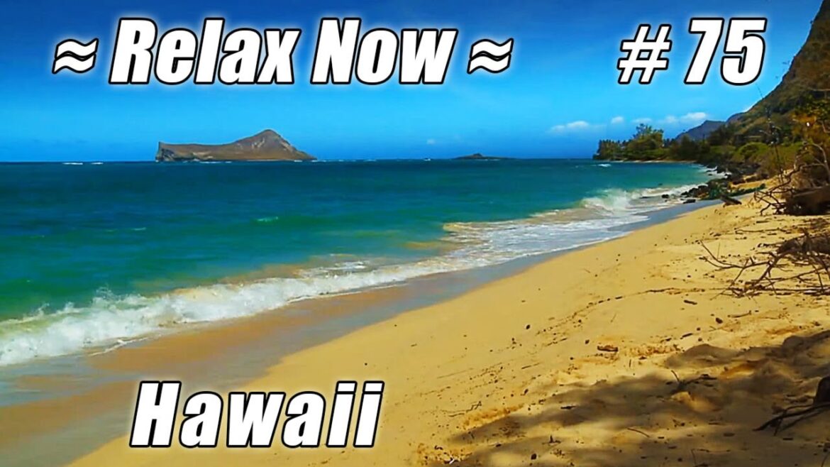 RABBIT ISLAND Makapuu Point #75 Beaches Ocean Waves HD Hawaii Lighthouse, Walmanalo Tropical Islands RABBIT ISLAND Makapuu Point #75 Beaches Ocean Waves HD Hawaii Lighthouse, Walmanalo Tropical Islands