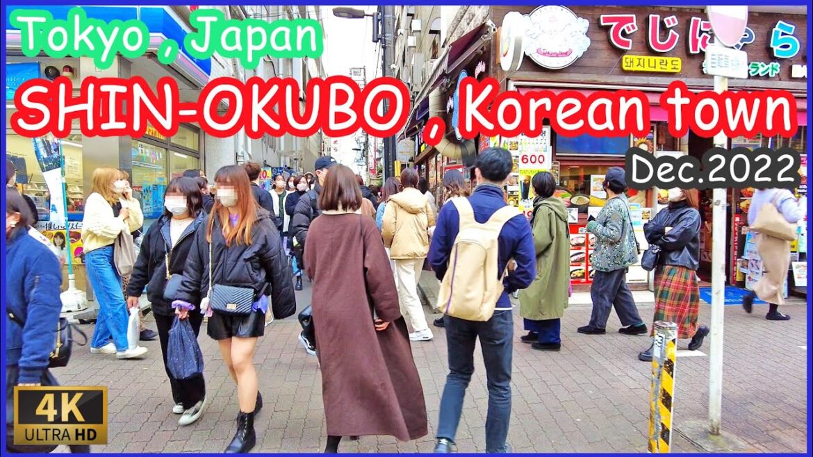 Shin-okubo walk 4K , shinokubo , korean town in tokyo