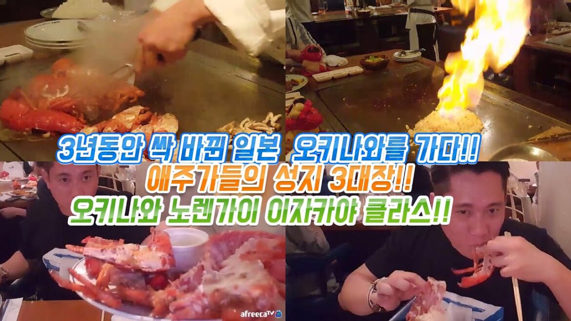 일본 여행 무비자 오랜만에 다녀온 일본 오키나와!! 애주가들의 성지 3대장!! 오키나와 요코초 실내 이자카야 클라스!! 日本旅行 沖縄県 japan travel okinawa 일본 여행 무비자 오랜만에 다녀온 일본 오키나와!! 애주가들의 성지 3대장!! 오키나와 요코초 실내 이자카야 클라스!! 日本旅行 沖縄県 japan travel okinawa