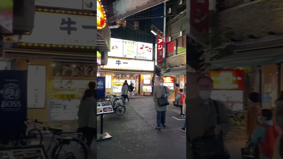 KOREAN TOWN IN JAPAN!!! Japan!!