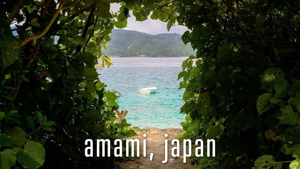 Adventures on Amami Oshima Island, Japan. | Canoe Tour / cape / beach