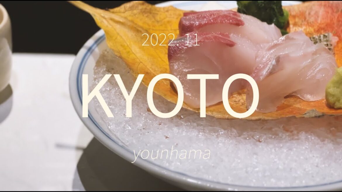 2022.11 교토 여행 Kyoto 태교여행 / 1일차 / 오사카 도착, 난카이 특급, 시티플라자호텔(City plaza osaka), 오반자이(obanzai)맛집, 편의점털기 2022.11 교토 여행 Kyoto 태교여행 / 1일차 / 오사카 도착, 난카이 특급, 시티플라자호텔(City plaza osaka), 오반자이(obanzai)맛집, 편의점털기