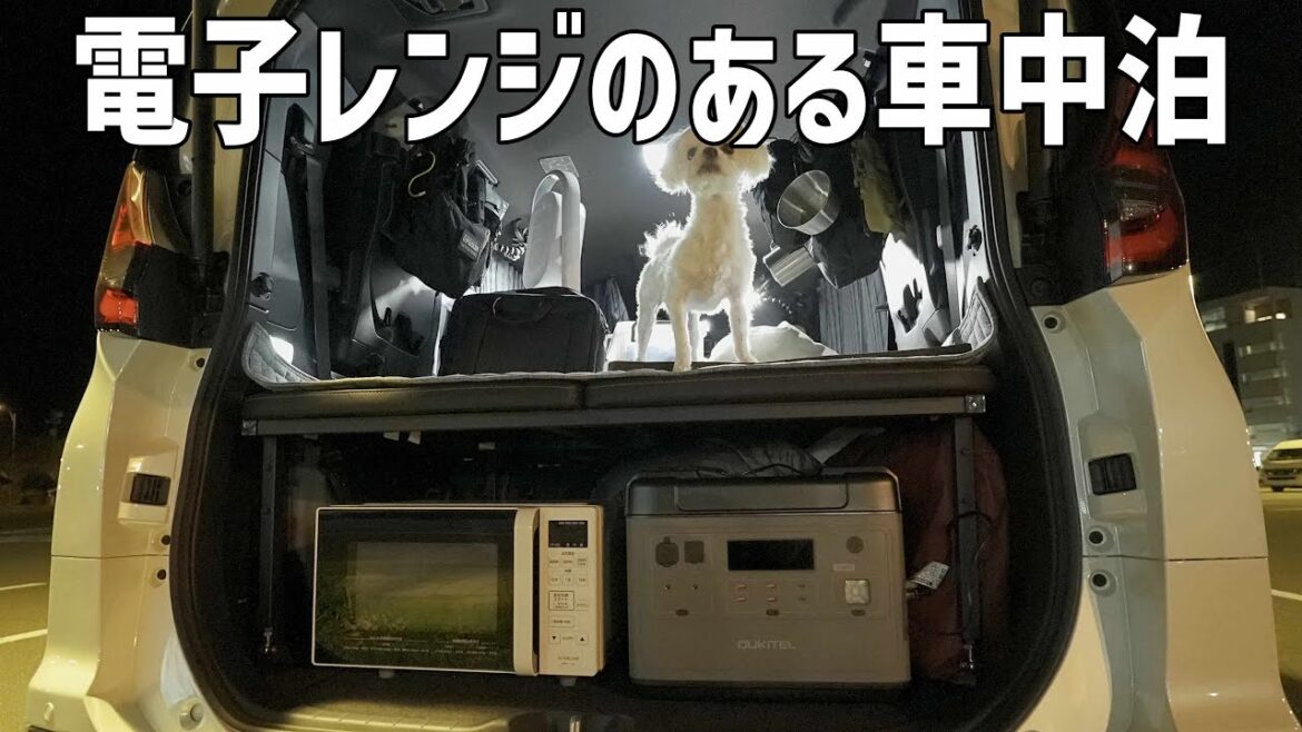電子レンジのあるミニバン車中泊!使い勝手や実際に今後の車中泊に持って行けるかチェック 電子レンジのあるミニバン車中泊!使い勝手や実際に今後の車中泊に持って行けるかチェック