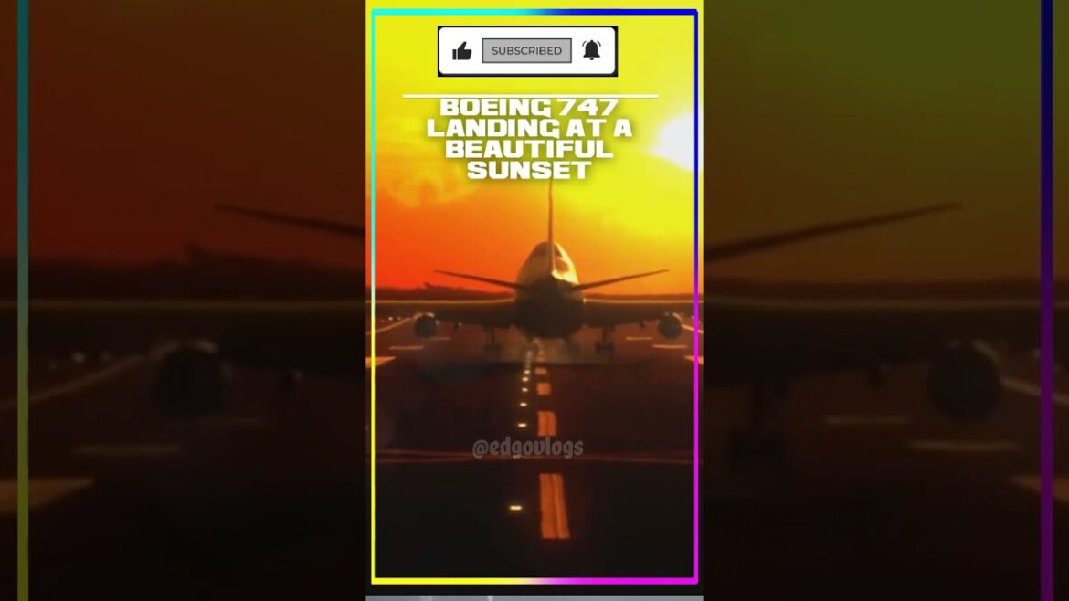 Boeing Landing at a Sunset #youtube #short#shortvideo #viral#trending #explore#shorts #youtubeshorts Boeing Landing at a Sunset #youtube #short#shortvideo #viral#trending #explore#shorts #youtubeshorts