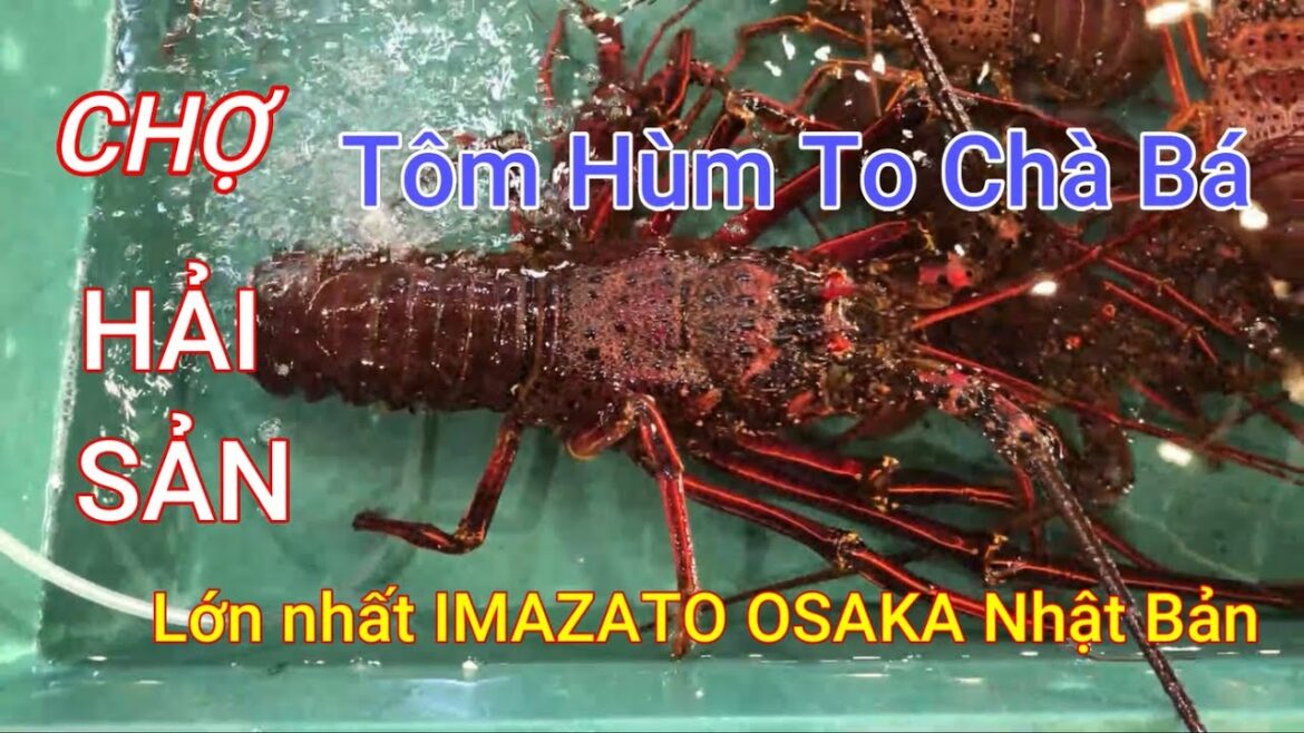 Khám Phá CHỢ HẢI SẢN LỚN NHẤT IMAZATO OSAKA – Tôm Hùm, Ốc Hương, Cua Hoàng Đế… Khám Phá CHỢ HẢI SẢN LỚN NHẤT IMAZATO OSAKA - Tôm Hùm, Ốc Hương, Cua Hoàng Đế...