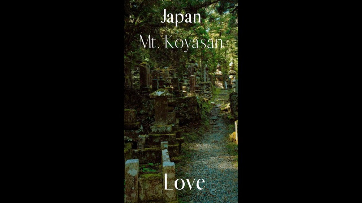 S029 Tokyo Imperial Palace in autumn, Japan. Main Camera: GFX100S, Lens: GF32-64mmF4, Video: GoPro10 S029 Tokyo Imperial Palace in autumn, Japan. Main Camera: GFX100S, Lens: GF32-64mmF4, Video: GoPro10