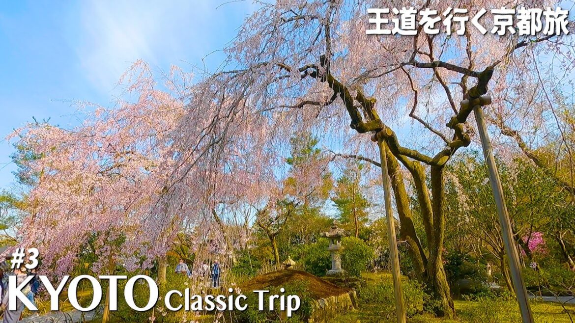 Kyoto, Japan Classic Trip #3 | Arashiyama Tenryuji Temple | Travel / vlog