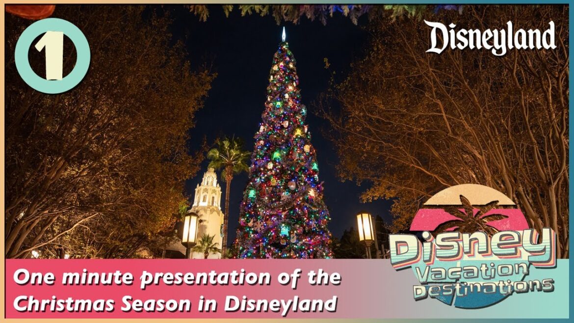 One minute presentation of the Christmas Season in Disneyland