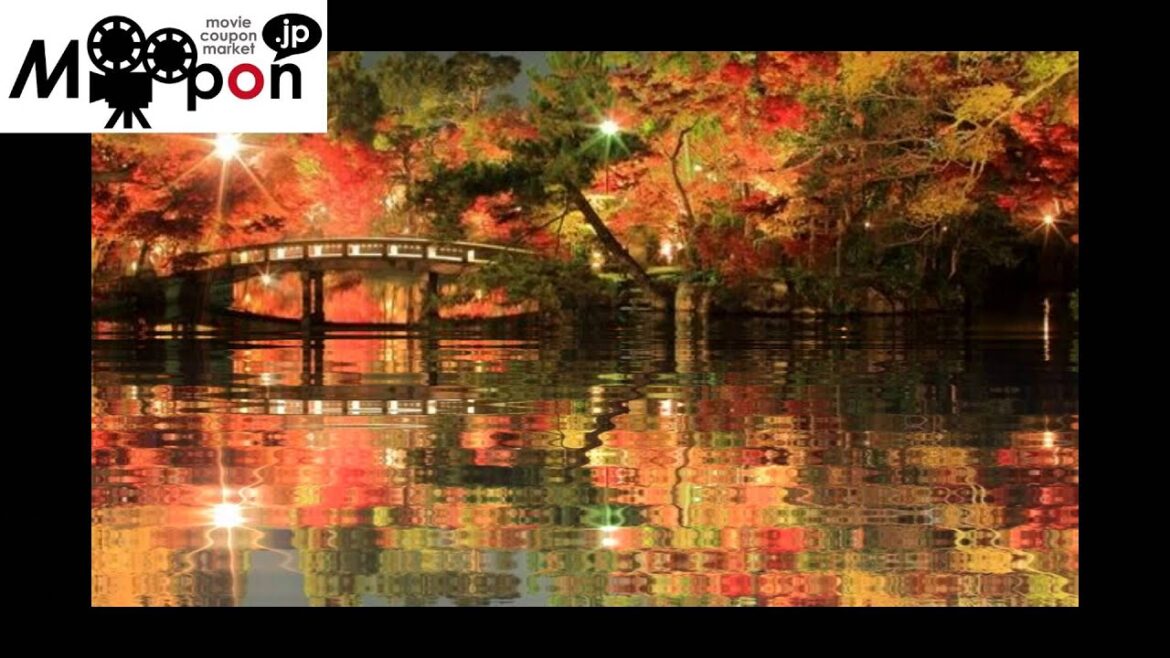 Japan Trip: Maple Leaves in Hojo Pond at Eikando Temple, Kyoto, Japan