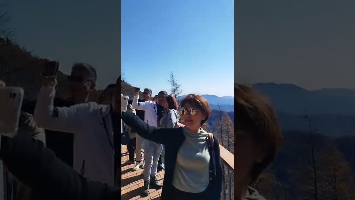 20221103 「新道峠展望台」新設的展望設施「FUJIYAMAツインテラス」 20221103 「新道峠展望台」新設的展望設施「FUJIYAMAツインテラス」