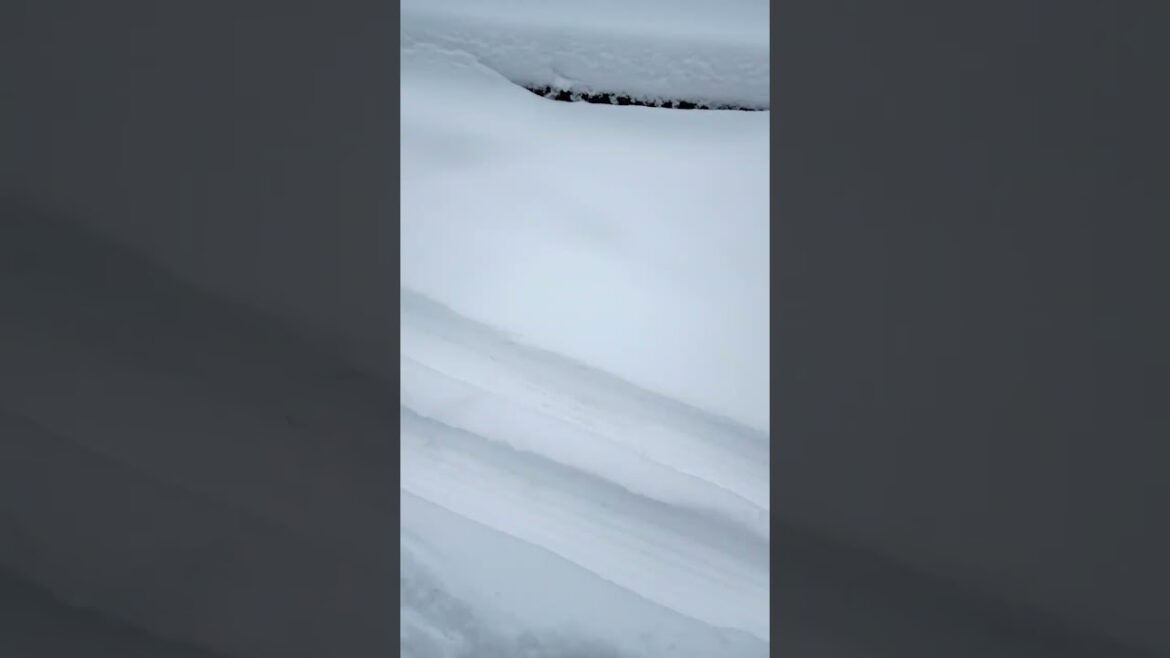 Snow Mountain in Japan #Hakuba #Nagano #Short #Shorts Snow Mountain in Japan #Hakuba #Nagano #Short #Shorts
