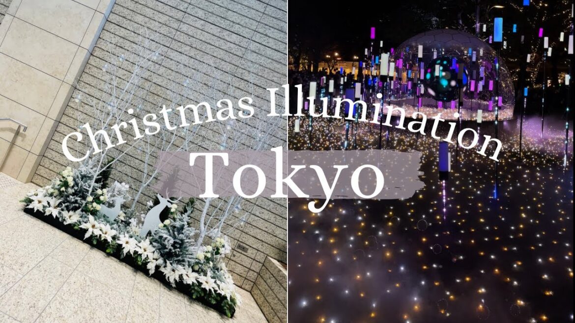 Christmas Illumination | Tokyo Midtown | Roppongi | Ginza | Tokyo Vlog