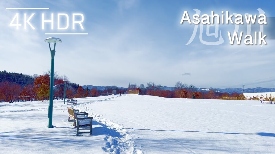 Sunny City Walk on Fresh Snow in Asahikawa, Hokkaido, Japan | 4K HDR Sunny City Walk on Fresh Snow in Asahikawa, Hokkaido, Japan | 4K HDR