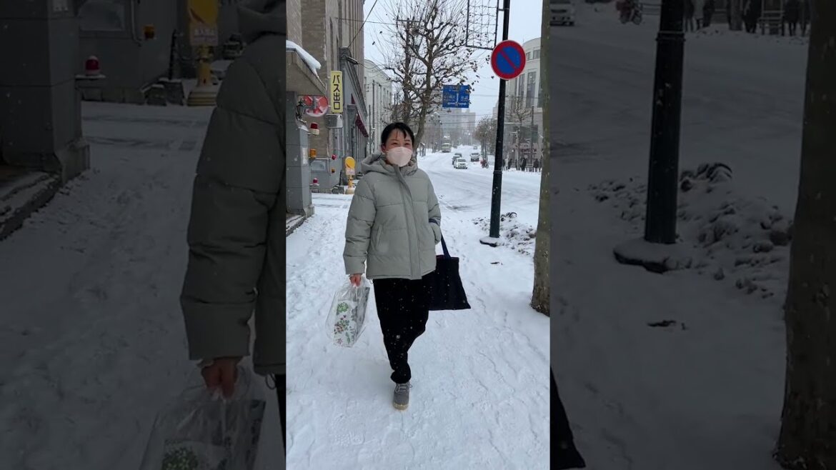 【日本生活】今年冬天北海道的第一場雪 #日本 #解密日本