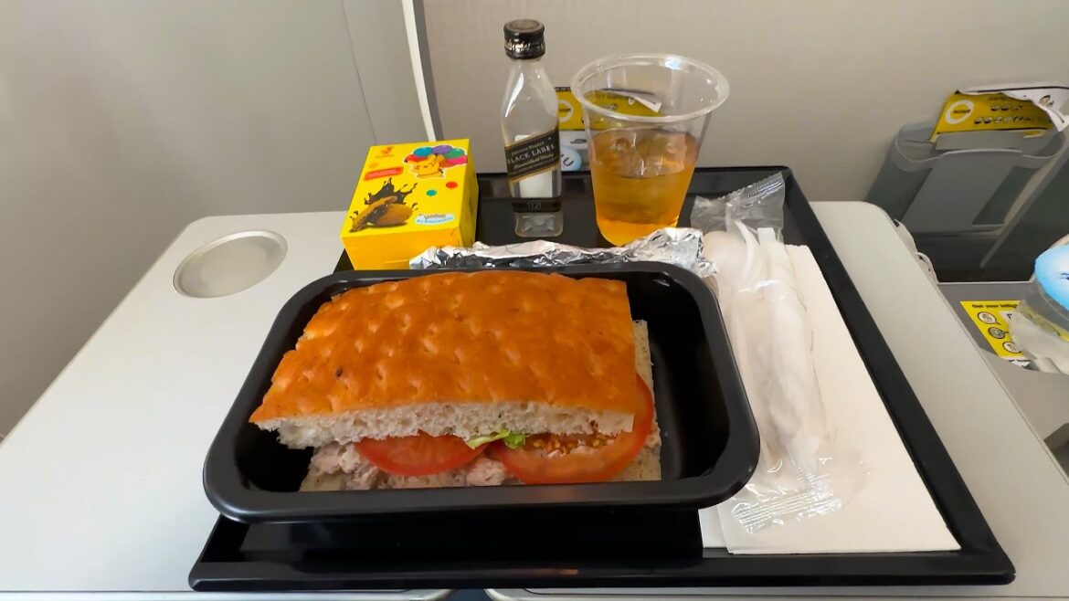 Eating Premium Class on a Budget Airline Eating Premium Class on a Budget Airline