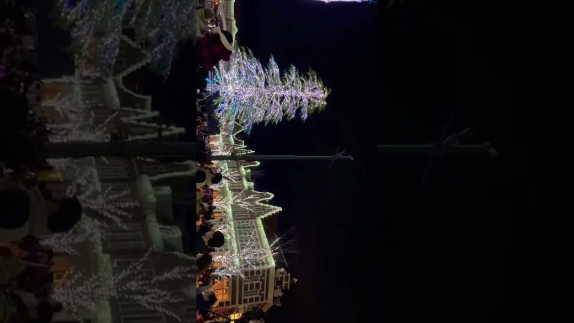 【ハウステンボス】光の王国白銀の世界点灯式  2022.12.12