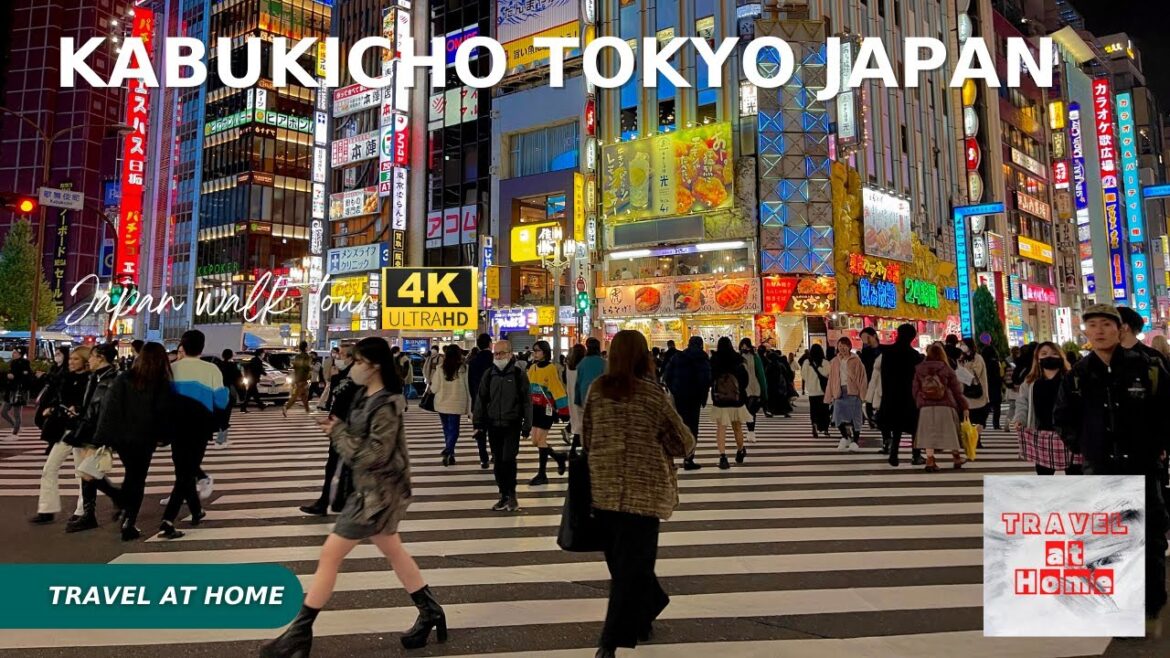 [4KHDR]Japan 4k walk 2022 | Travel at home Night Walk in Kabukicho Red light district in tokyo Japan