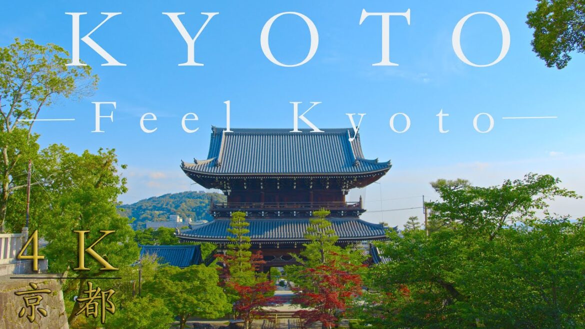 【 Local Secret 】 黒谷さん 　4K Travel　[ KYOTO VLOG #88 ]