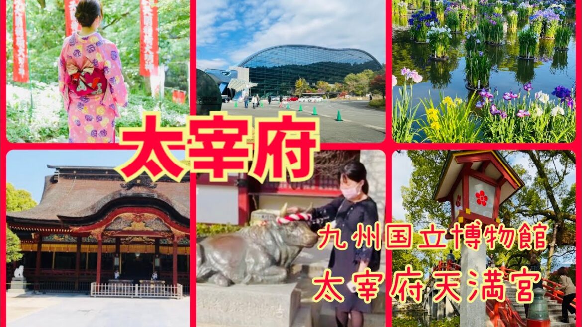 【福岡観光】✨太宰府天満宮と九州国立博物館に行こう！ツアー✨