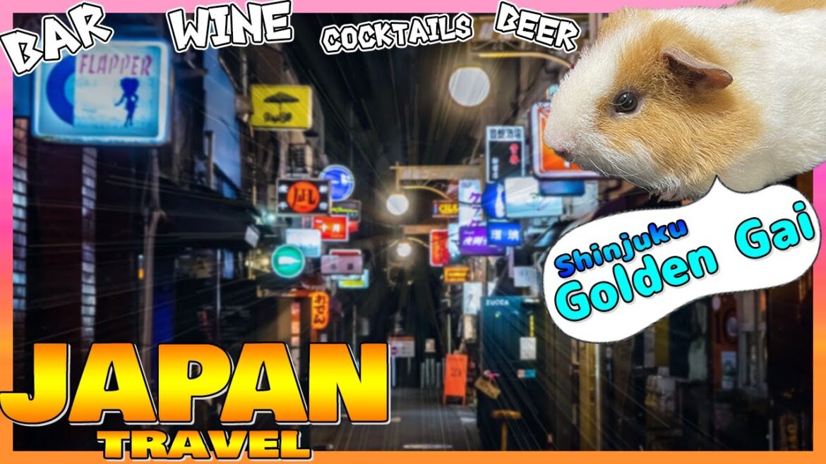 【Tokyo】Road to Golden Gai.good old tavern in japan【shinjuku】