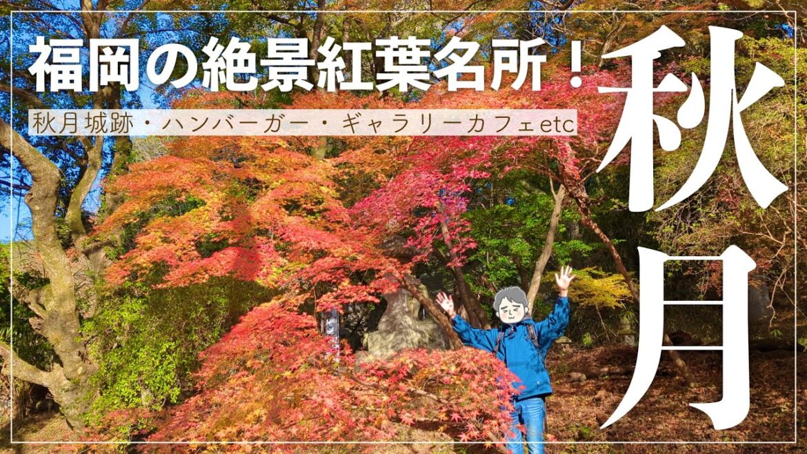 【福岡観光】秋月城紅葉狩りデート♪|紅葉狩りスポットで、お琴や手裏剣で楽しむアラフォー夫婦! 【福岡観光】秋月城紅葉狩りデート♪|紅葉狩りスポットで、お琴や手裏剣で楽しむアラフォー夫婦!