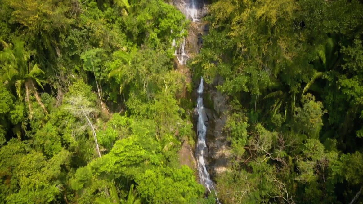 Visit Hamanasi Adventure and Dive Resort Visit Hamanasi Adventure and Dive Resort