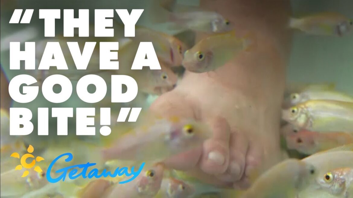 Getaway Rewind: Dicko gets a fish massage | Getaway Getaway Rewind: Dicko gets a fish massage | Getaway