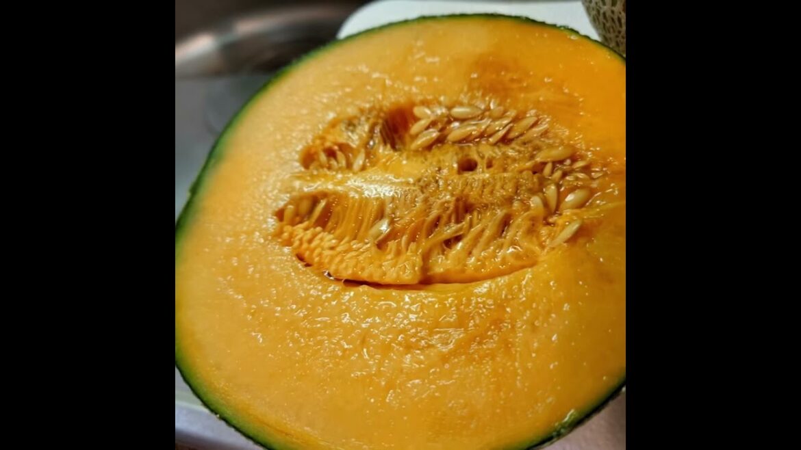 short!カニやメロンも‼︎【札幌市中央卸売市場】海鮮丼ランチは絶品♪北海道海鮮 旅行のお土産におすすめ!Sapporo City Wholesale Market,Hokkaido,Japan short!カニやメロンも‼︎【札幌市中央卸売市場】海鮮丼ランチは絶品♪北海道海鮮 旅行のお土産におすすめ!Sapporo City Wholesale Market,Hokkaido,Japan