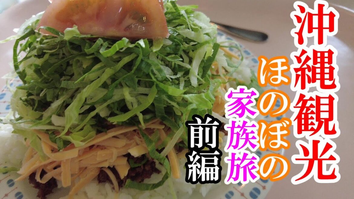 【沖縄旅行】のんびり家族で沖縄観光の旅前編【トッキ―二ひょう助の旅第181話】 【沖縄旅行】のんびり家族で沖縄観光の旅前編【トッキ―二ひょう助の旅第181話】