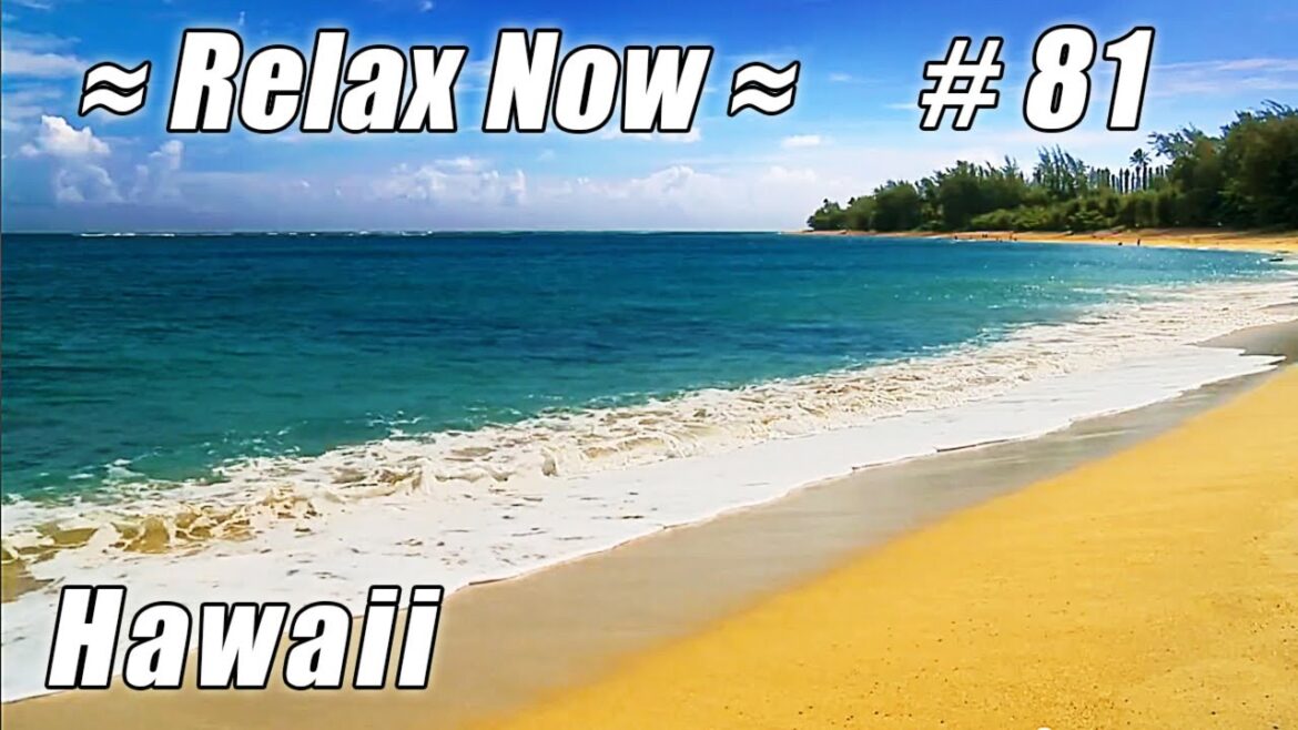 KAUAI – HAENA BEACH North Shore #81 HD Hawaii Beaches Ocean Waves beach sounds Hawaii video free KAUAI - HAENA BEACH North Shore #81 HD Hawaii Beaches Ocean Waves beach sounds Hawaii video free