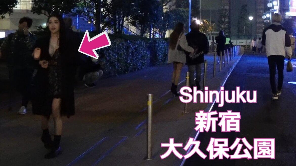 【過激な衣装】新宿大久保公園を散歩…nightwalk in Shinjuku 2022年11月2日【4K】 【過激な衣装】新宿大久保公園を散歩…nightwalk in Shinjuku 2022年11月2日【4K】