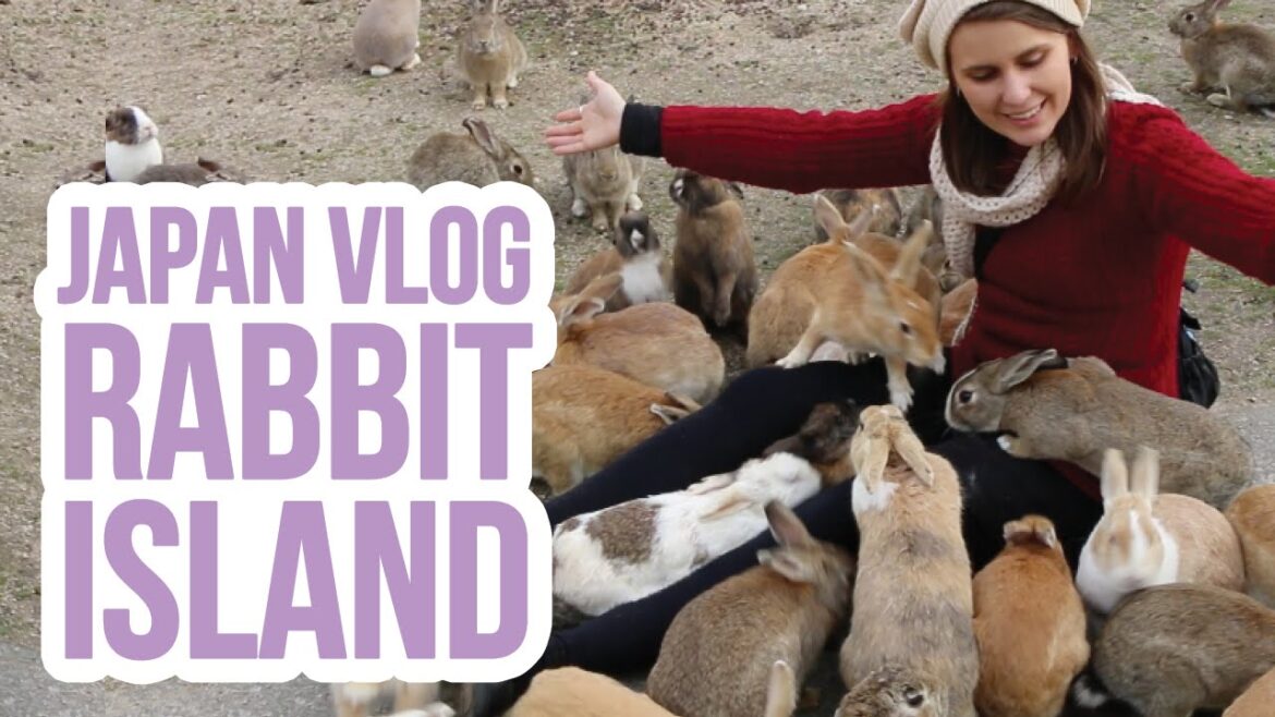 Japan Vlog | Ōkunoshima / Rabbit Island – Day 4 | ZoëTwoDots Japan Vlog | Ōkunoshima / Rabbit Island - Day 4 | ZoëTwoDots
