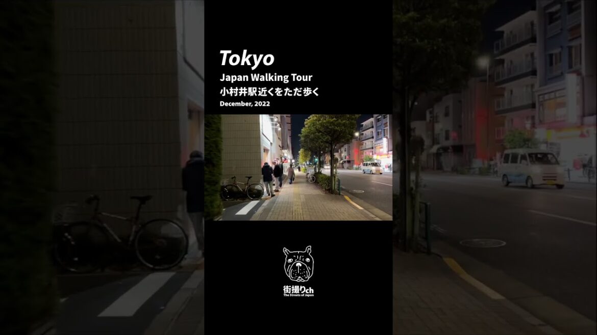 Japan: Omurai Station - Tokyo Walking Tour (December, 2022) #shorts #shortsvideo