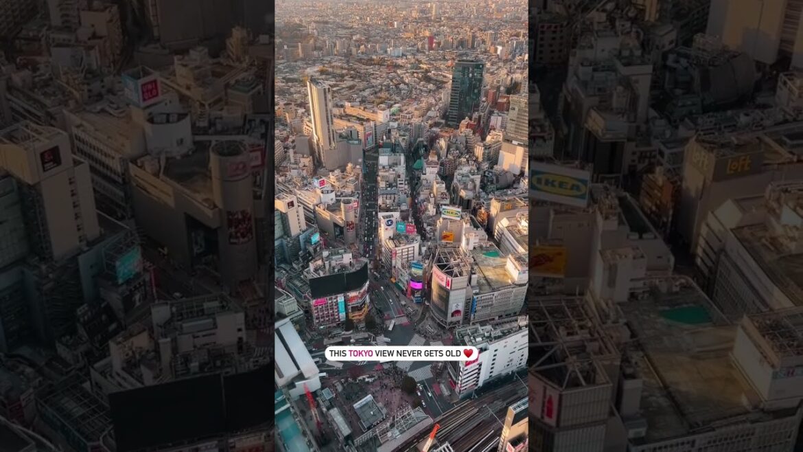 Check out one of the best views in #Tokyo ! The view never gets old.