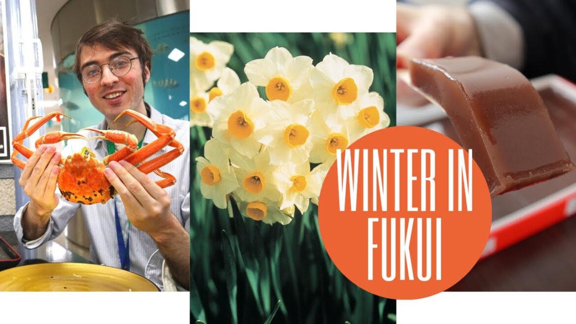 3 Fun Ways to Make the Most of Winter in JAPAN | Experience Fukui 3 Fun Ways to Make the Most of Winter in JAPAN | Experience Fukui