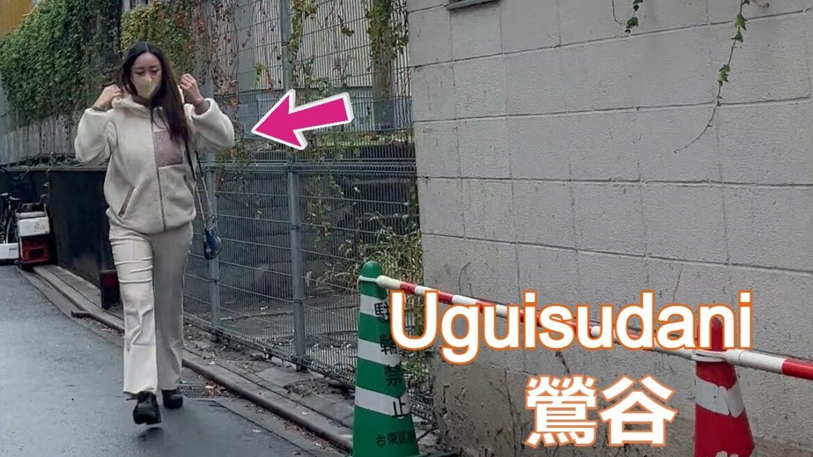 【鶯谷 散歩】デリヘル嬢とラブホテルで溢れる街【4K】 2022年12月14日 【鶯谷 散歩】デリヘル嬢とラブホテルで溢れる街【4K】 2022年12月14日