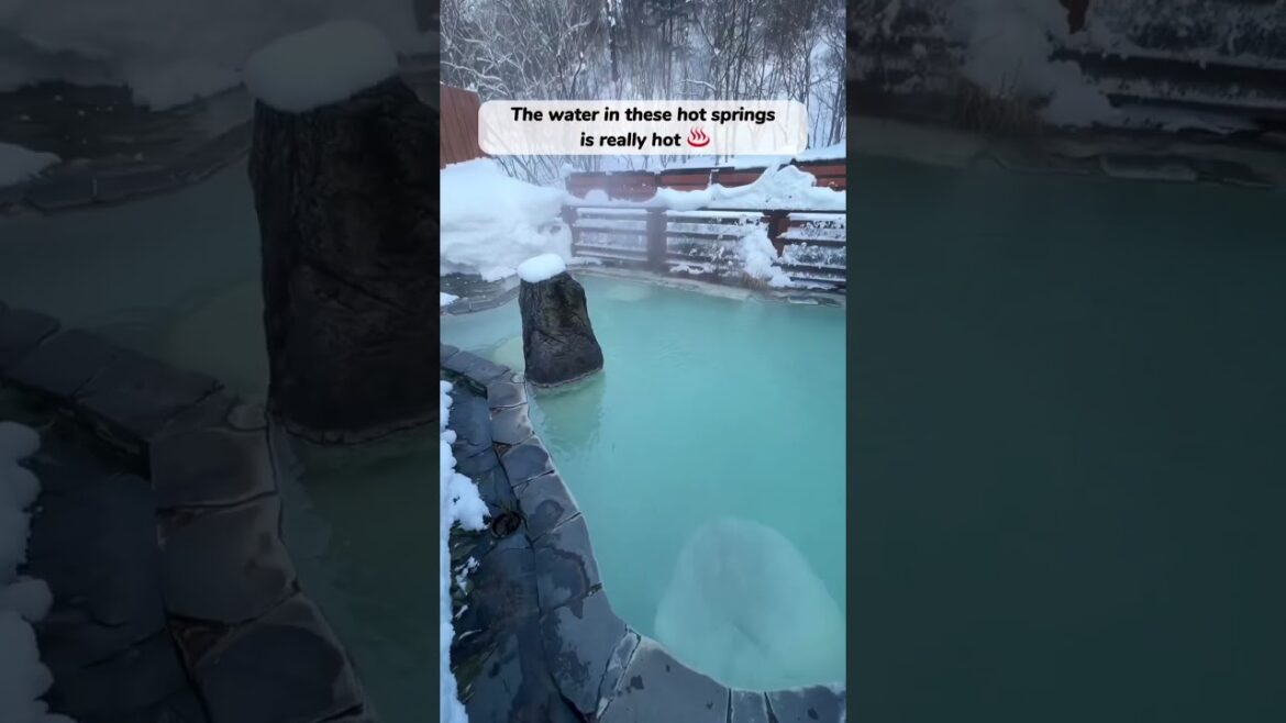 Check out these snowy onsen, called Yukimi-buro, in Japan! Would you like to try it? ❄️♨️🤍