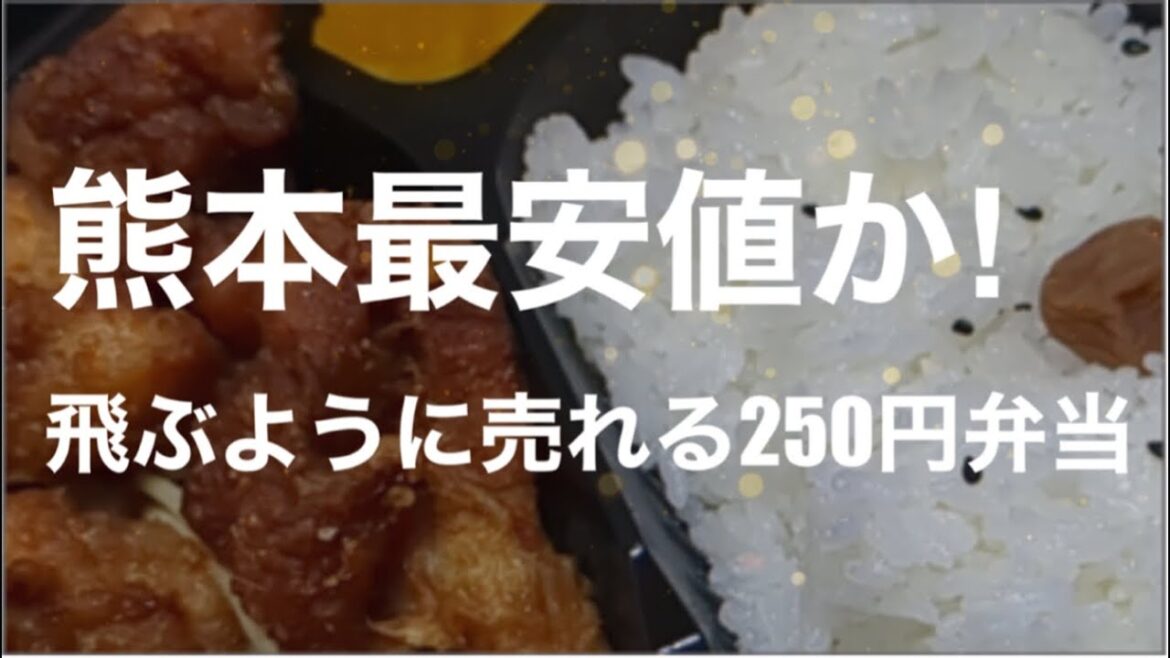 [熊本最安値か！！] 飛ぶように売れる２５０円弁当☆熊本市中央区萩原町