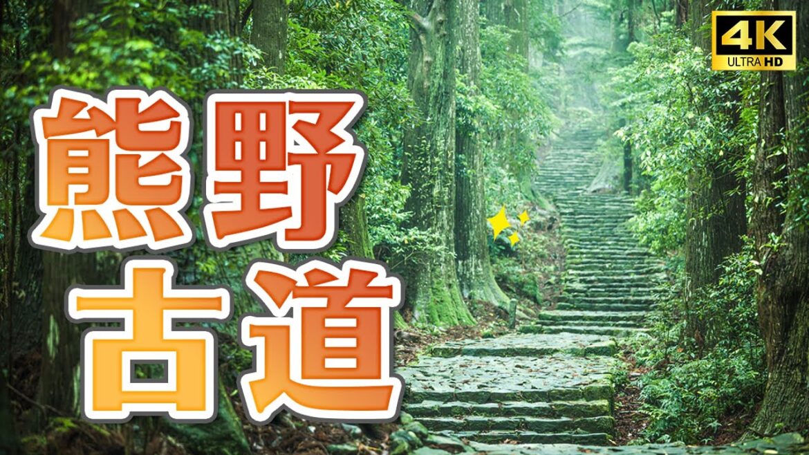 和歌山世界遺產自然之旅⛩️熊野古道、熊野和牛燒肉、熊野速玉大社、神倉神社、瀞峽遊船｜和歌山新宮市自由行・日本旅遊4K VLOG