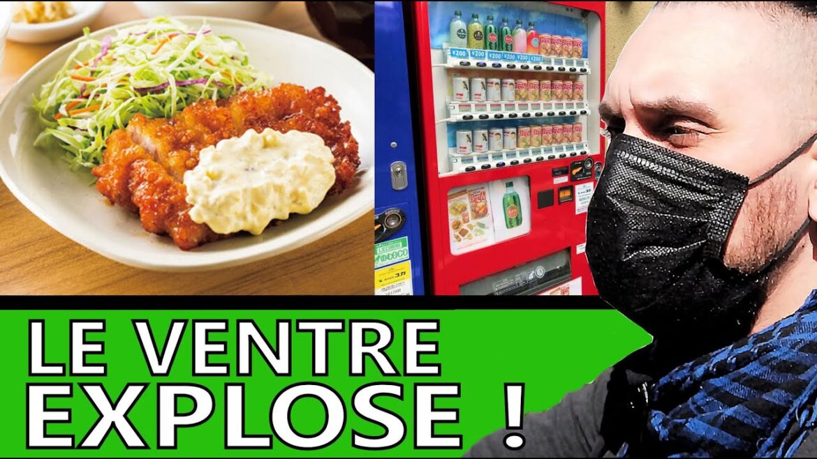 VOYAGE avec MOI au JAPON ! – Vlog Tokyo VOYAGE avec MOI au JAPON ! - Vlog Tokyo