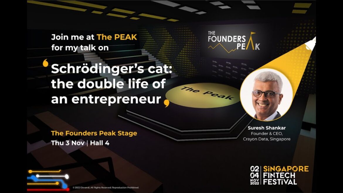 Schrödinger’s cat: the double life of an entrepreneur