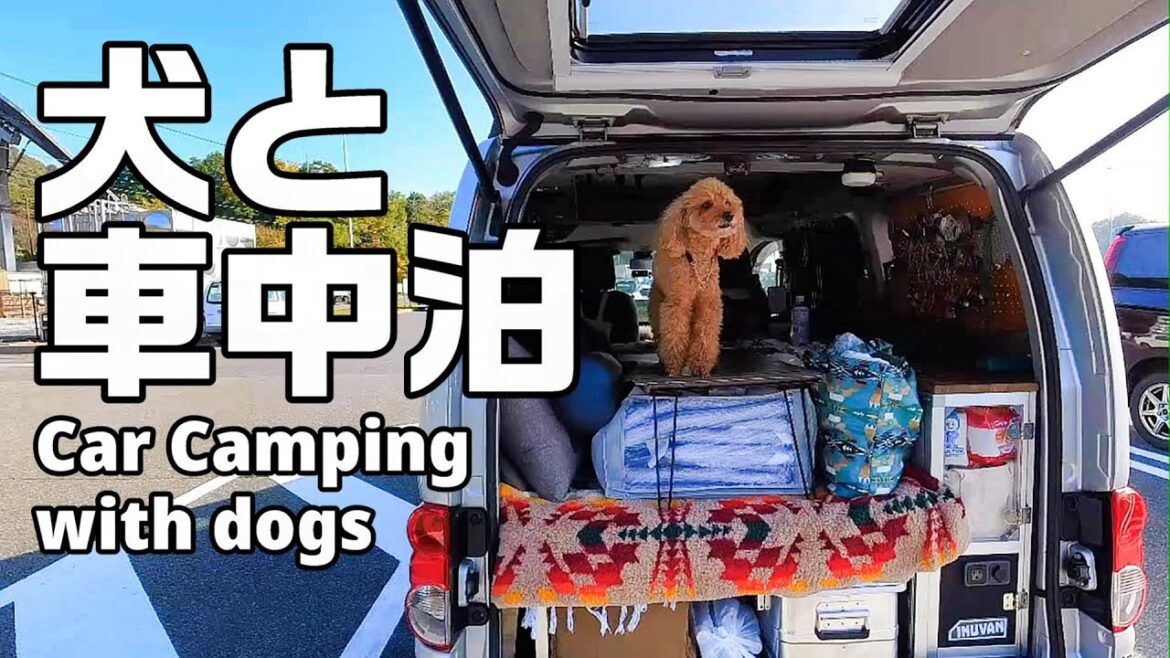 犬と車中泊 道の駅みかもで愛犬と一緒に車中泊で過ごすキャンピングカー車内の様子|INUVAN イヌとバンライフ 犬と車中泊 道の駅みかもで愛犬と一緒に車中泊で過ごすキャンピングカー車内の様子|INUVAN イヌとバンライフ