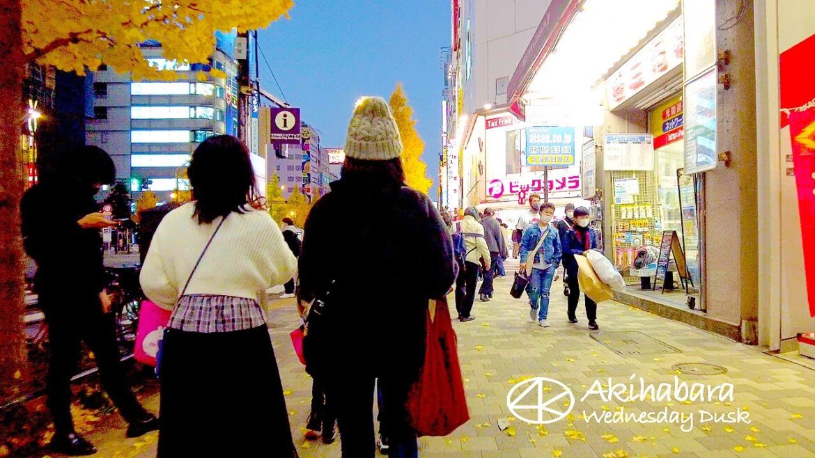 4K 秋葉原 水曜夕暮れ 電気街を散歩 2022年 12月 アキバ 東京 Japan