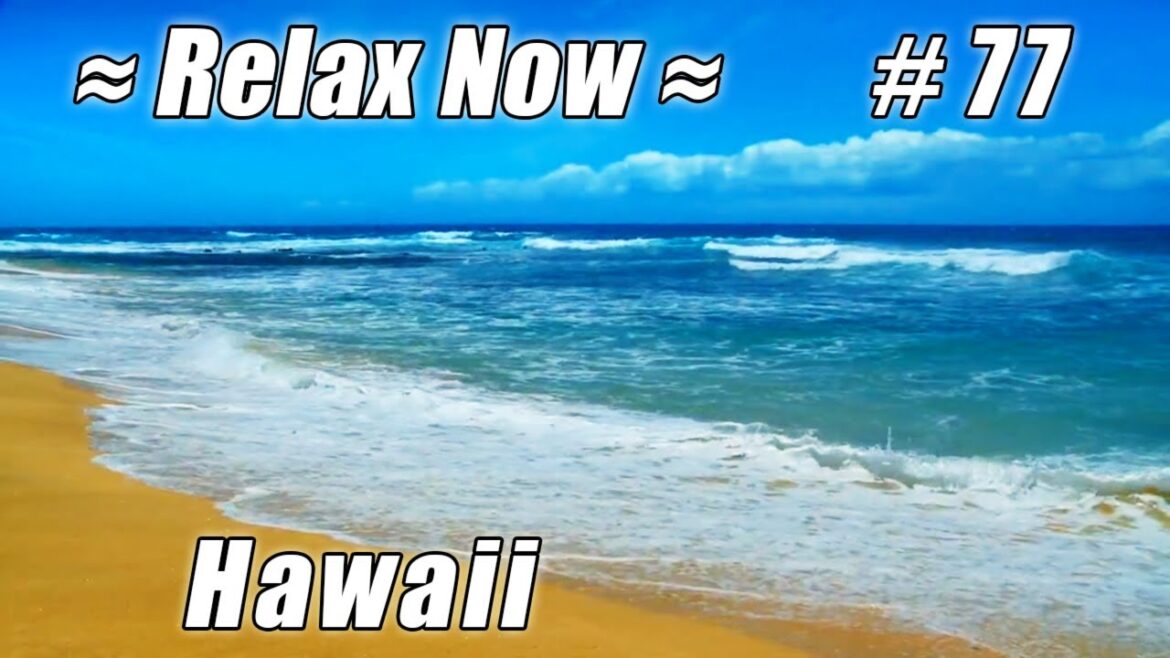 HONOLULU Sandy Beach Oahu #77 Beaches Ocean Waves Hawaii beach shore HD video relaxing sounds wave HONOLULU Sandy Beach Oahu #77 Beaches Ocean Waves Hawaii beach shore HD video relaxing sounds wave