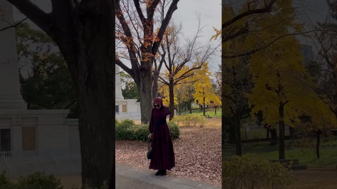 osaka castle japan trip #shorts