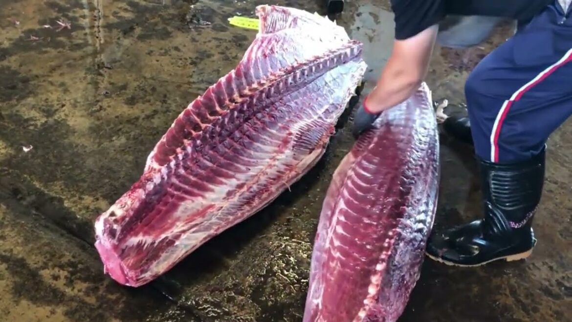 Must Watch!! Big Tuna Cutting Skills - Japanese Street Food