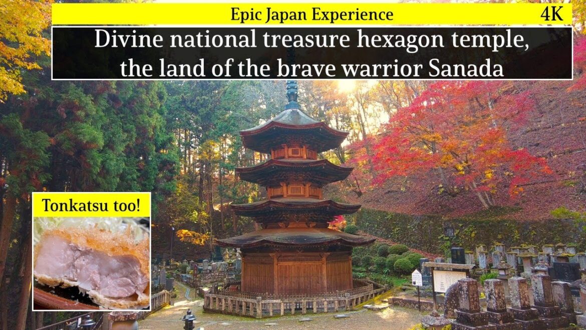 Japan travel vlogl.Nagano Ueda mystical hexagon temple at ancient hot spring with autumn leaves.