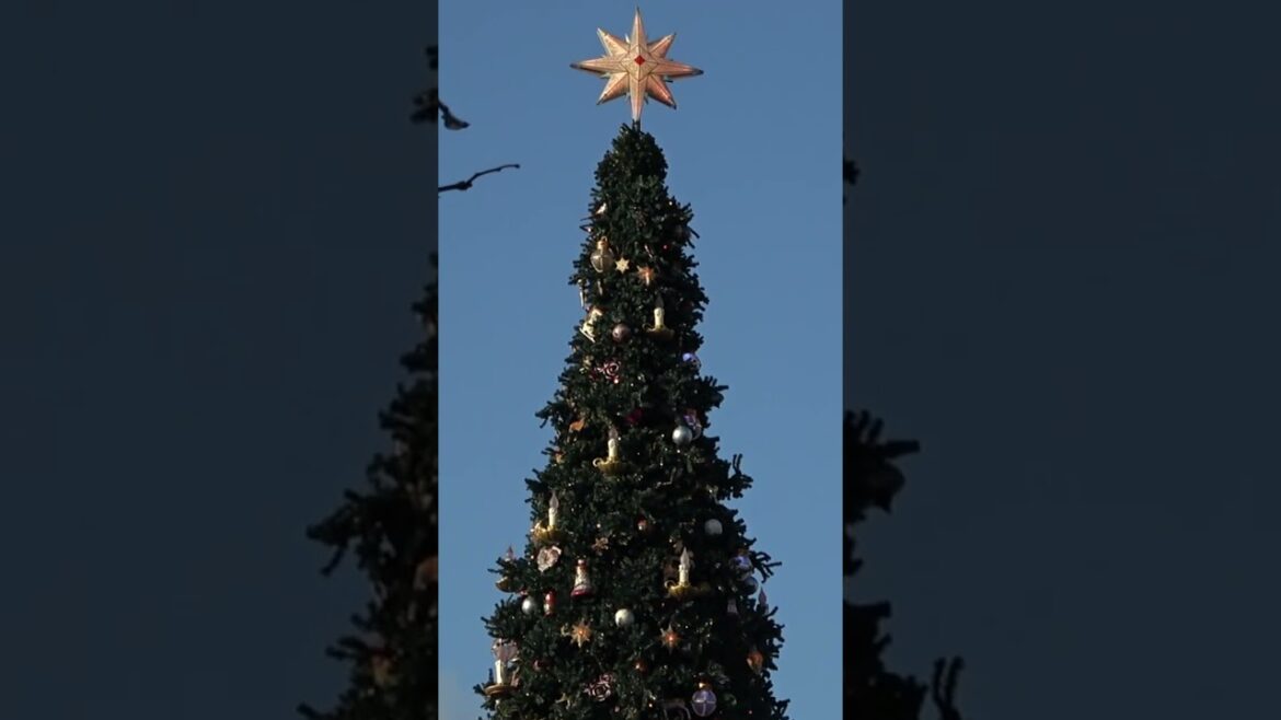 Christmas in Disneyland Paris Christmas in Disneyland Paris