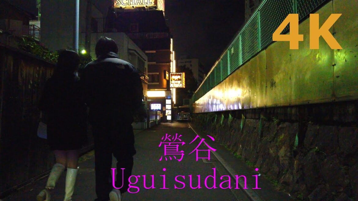【4k】Tokyo walk-Uguisudani🐦夜の鶯谷を散歩
