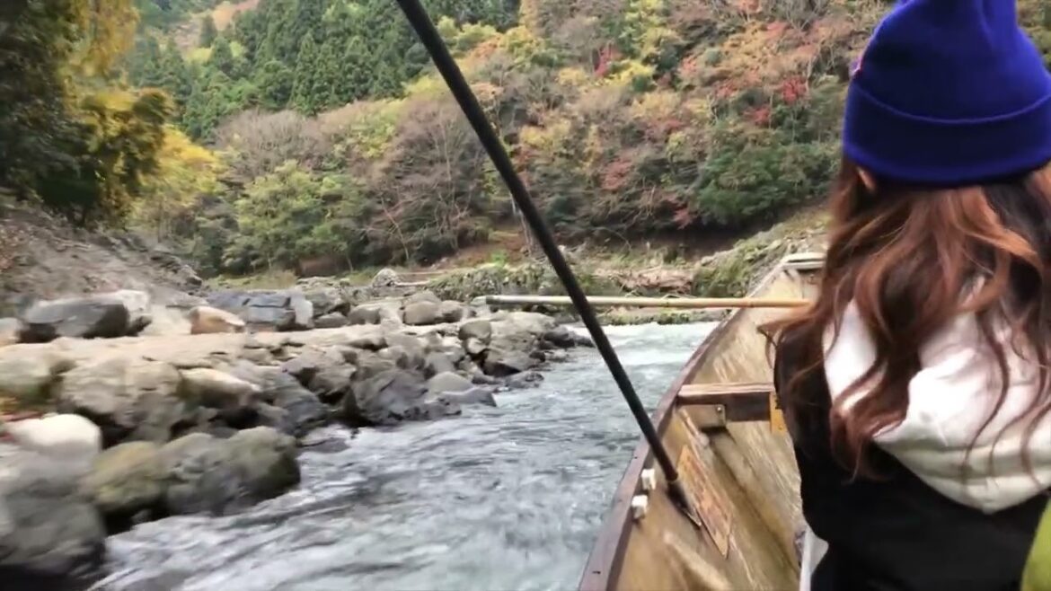 2022京都單車利用考察 enjoy the tour by bicycle de Kyoto. bicycle parking de Kyoto